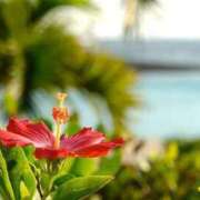 ヒメ日記 2025/09/05 09:02 投稿 アン【ヘルス】 マネキン神宮店