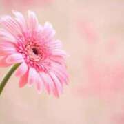 ヒメ日記 2025/09/20 09:03 投稿 アン【ヘルス】 マネキン神宮店