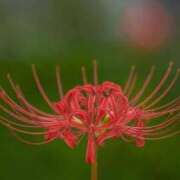 ヒメ日記 2025/10/18 09:02 投稿 アン【ヘルス】 マネキン神宮店