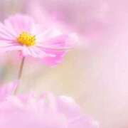 ヒメ日記 2025/10/27 10:02 投稿 アン【ヘルス】 マネキン神宮店