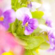 ヒメ日記 2025/11/03 10:03 投稿 アン【ヘルス】 マネキン神宮店