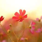 ヒメ日記 2025/11/04 10:03 投稿 アン【ヘルス】 マネキン神宮店