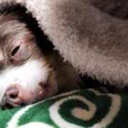 ヒメ日記 2025/12/18 09:02 投稿 サユリ【ヘルス】 マネキン神宮店