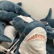 ヒメ日記 2025/10/17 10:02 投稿 マヤ【ヘルス】 マネキン神宮店