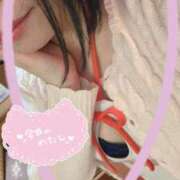 ヒメ日記 2025/11/17 14:42 投稿 マヤ【ヘルス】 マネキン神宮店