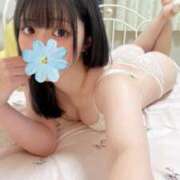 ヒメ日記 2024/12/13 21:44 投稿 さく ぷりぷりプリン つくば店