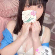 ヒメ日記 2025/05/10 18:00 投稿 さく ぷりぷりプリン つくば店