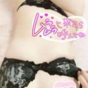 ヒメ日記 2024/12/31 09:10 投稿 ゆうか【高山出発】 Cat's高山店