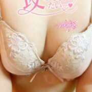 ヒメ日記 2025/04/25 20:40 投稿 ゆうか【高山出発】 Cat's高山店