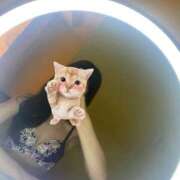 ヒメ日記 2025/04/28 18:49 投稿 金城　ゆきな 雫(しずく)