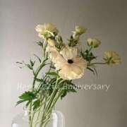 ヒメ日記 2025/02/27 20:30 投稿 麗子(れいこ) 人妻城 横浜本店