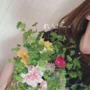 ヒメ日記 2025/06/03 10:26 投稿 麗子(れいこ) 人妻城 横浜本店