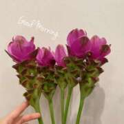 ヒメ日記 2025/08/15 10:25 投稿 麗子(れいこ) 人妻城 横浜本店