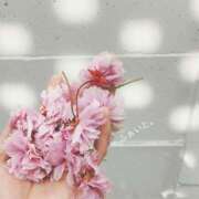 ヒメ日記 2026/04/17 08:43 投稿 麗子(れいこ) 人妻城 横浜本店