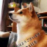 ヒメ日記 2025/03/01 09:43 投稿 ゆら 三重松阪ちゃんこ