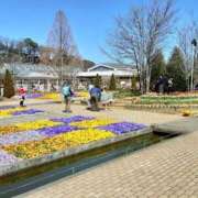 ヒメ日記 2025/03/23 18:43 投稿 ゆら 三重松阪ちゃんこ