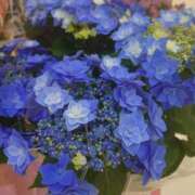 ヒメ日記 2025/05/07 11:53 投稿 ゆら 三重松阪ちゃんこ