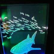 ヒメ日記 2025/09/04 09:43 投稿 ゆら 三重松阪ちゃんこ