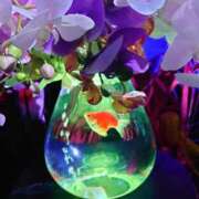 ヒメ日記 2025/09/19 17:13 投稿 ゆら 三重松阪ちゃんこ