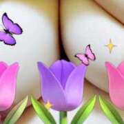 ヒメ日記 2025/10/08 12:05 投稿 ゆら 三重松阪ちゃんこ