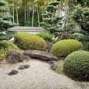 ヒメ日記 2025/10/17 19:03 投稿 ゆら 三重松阪ちゃんこ