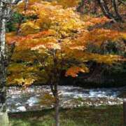 ヒメ日記 2025/11/03 22:55 投稿 ゆら 三重松阪ちゃんこ