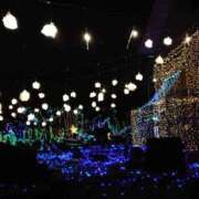 ヒメ日記 2025/12/14 23:33 投稿 ゆら 三重松阪ちゃんこ