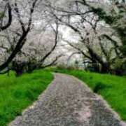 ヒメ日記 2026/04/06 11:33 投稿 ゆら 三重松阪ちゃんこ