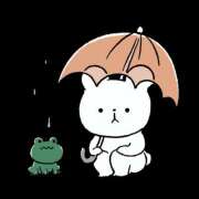 ヒメ日記 2025/06/11 23:07 投稿 りお THE・TRY