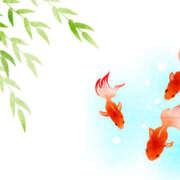 ヒメ日記 2025/07/06 09:42 投稿 りお THE・TRY