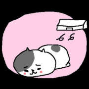 ヒメ日記 2025/07/25 21:42 投稿 りお THE・TRY