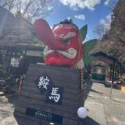 ヒメ日記 2025/02/07 14:05 投稿 えれな 若葉