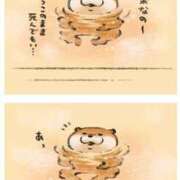 ヒメ日記 2025/02/06 22:43 投稿 ひな キャンパスサミット　千葉店