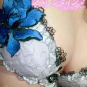 ヒメ日記 2025/02/14 06:28 投稿 森下純 HANABI(福富町)