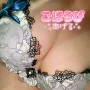 ヒメ日記 2025/02/23 08:56 投稿 森下純 HANABI(福富町)