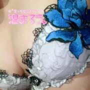 ヒメ日記 2025/02/28 06:17 投稿 森下純 HANABI(福富町)