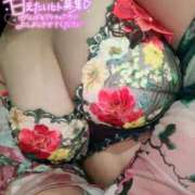 ヒメ日記 2025/03/03 06:07 投稿 森下純 HANABI(福富町)