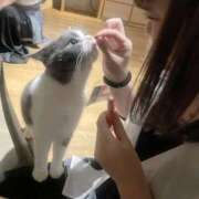 ヒメ日記 2025/03/18 16:15 投稿 中越あず 断りきれない美人マッサージ嬢たち