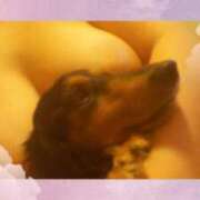 ヒメ日記 2025/01/09 16:53 投稿 もえ 半熟ばなな　錦糸町