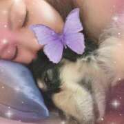 ヒメ日記 2025/01/11 14:23 投稿 もえ 半熟ばなな　錦糸町