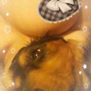 ヒメ日記 2025/01/15 16:53 投稿 もえ 半熟ばなな　錦糸町