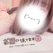 ヒメ日記 2025/01/28 12:36 投稿 ゆかり 鴨川excellent