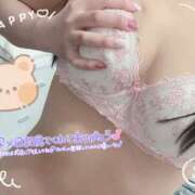 ヒメ日記 2025/02/01 21:57 投稿 ゆかり 鴨川excellent