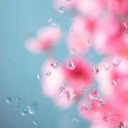 ヒメ日記 2025/03/11 20:54 投稿 春海 東京人妻フォーシーズンズ