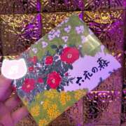 ヒメ日記 2025/11/10 13:12 投稿 梨々香/りりか 五反田アネージュ（ユメオト）