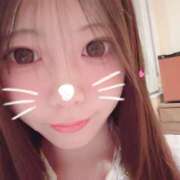 ヒメ日記 2025/02/26 13:16 投稿 ぽむ ビギナーズ神戸