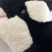 ヒメ日記 2025/03/15 01:20 投稿 ぽむ ビギナーズ神戸