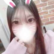 ヒメ日記 2025/03/21 09:46 投稿 ぽむ ビギナーズ神戸