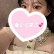 ヒメ日記 2025/03/31 06:21 投稿 ぽむ ビギナーズ神戸