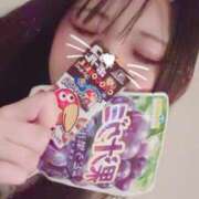 ヒメ日記 2025/04/04 11:05 投稿 ぽむ ビギナーズ神戸